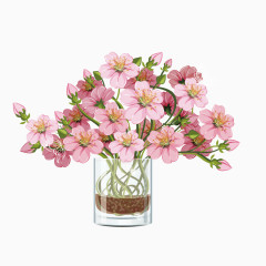 矢量花瓶粉红花束