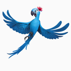 蓝色带花的鹦鹉