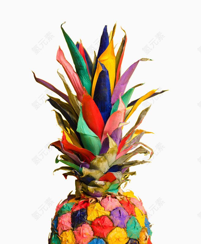 色彩菠萝设计