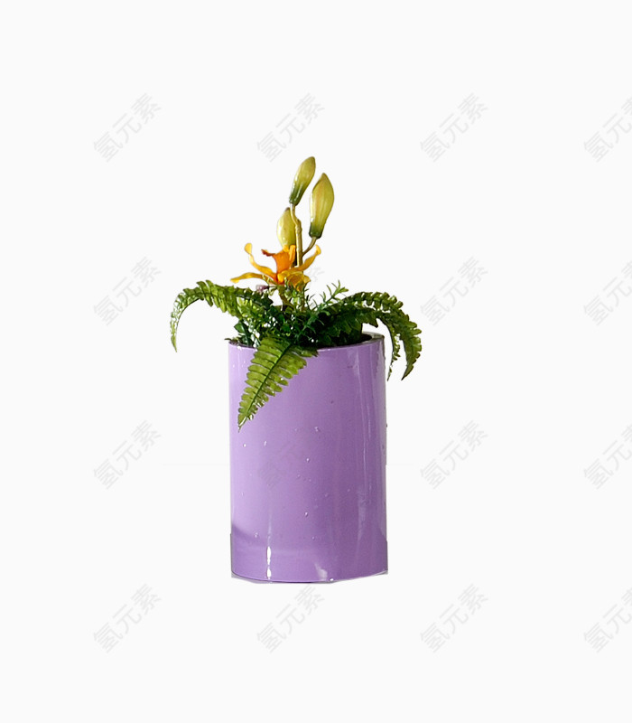 紫色绿植花盆