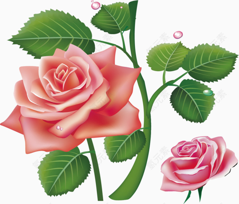 可爱漂亮玫瑰花海素材
