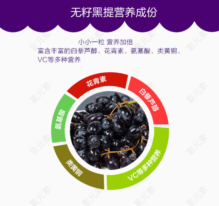 夏黑葡萄介绍说明