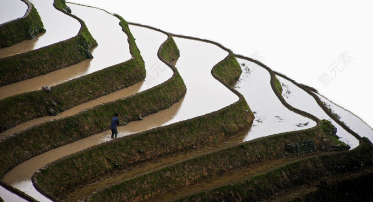 广西龙脊梯田风景