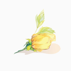 手绘黄色花朵图案