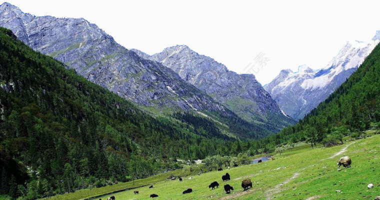 四姑娘山旅游