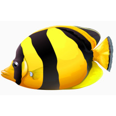 黄色观赏鱼免抠素材