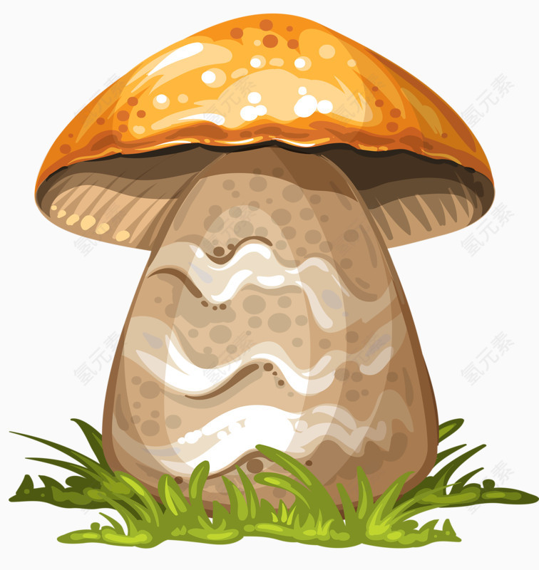 硕大蘑菇