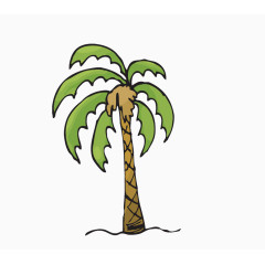 热带树木椰树