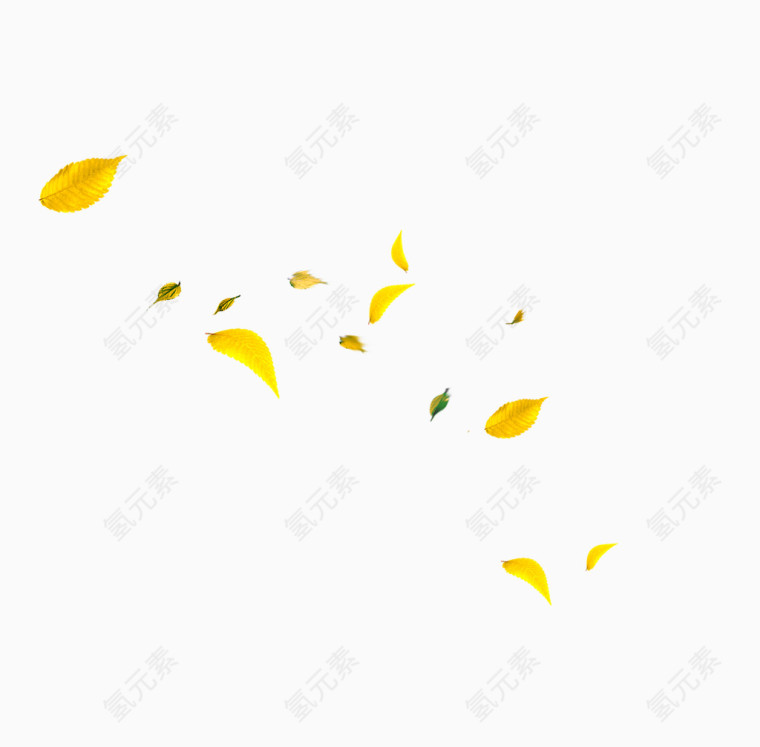 飘零的黄色树叶