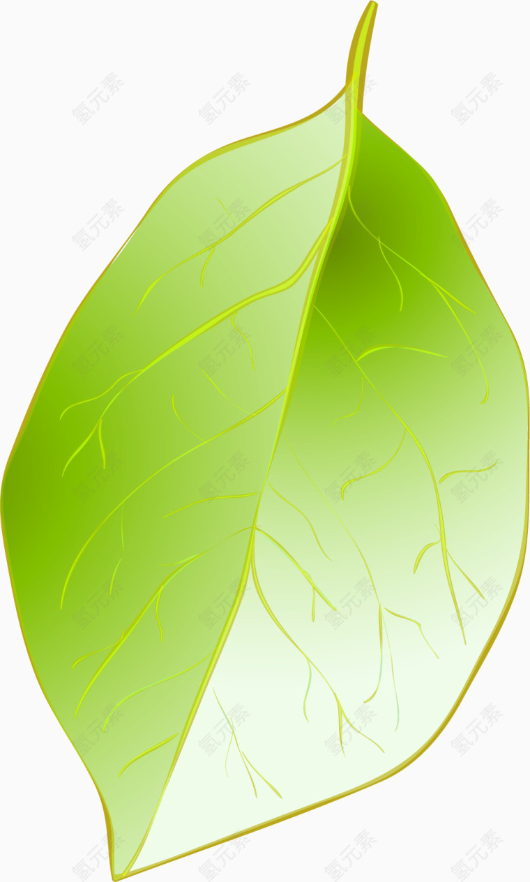 绿色叶子展板图片
