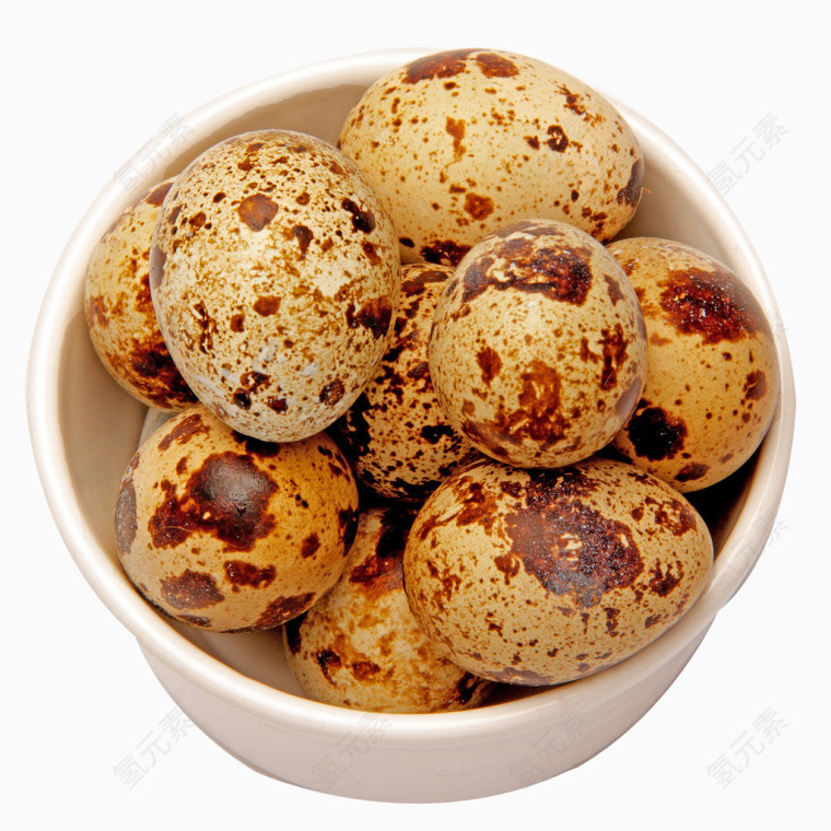 鹌鹑蛋鹑鸟蛋鹌鹑卵图片