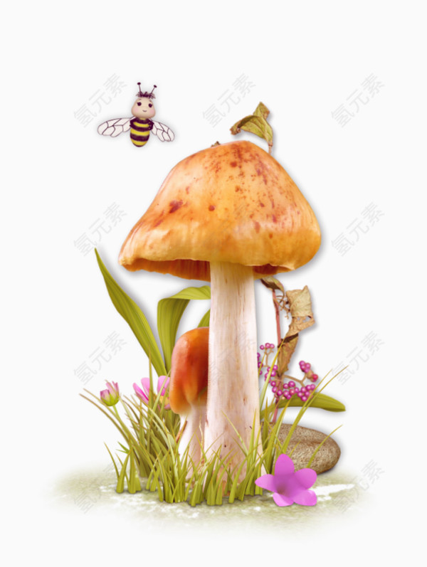 蘑菇蜜蜂