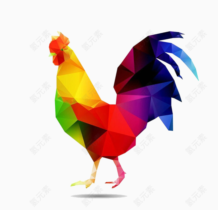 彩色的公鸡