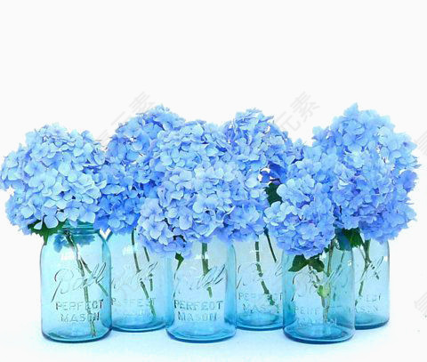 蓝色插花