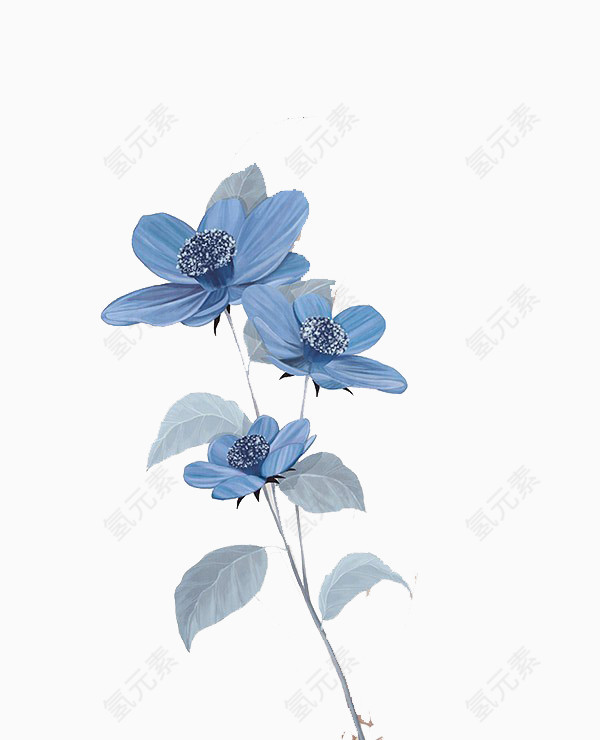 蓝白色花朵