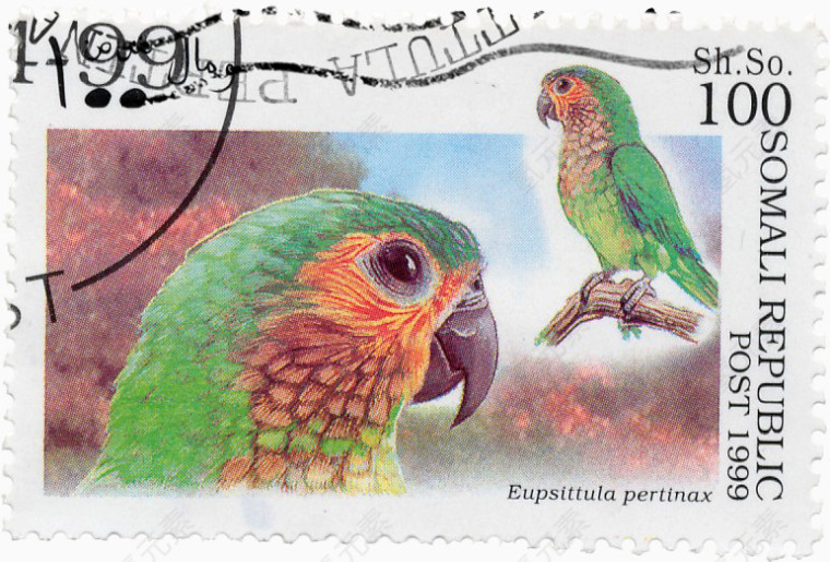 鹦鹉邮票