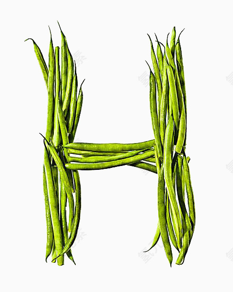 字母H