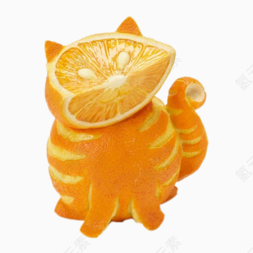 香橙小猫