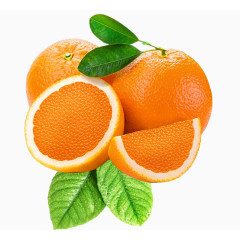 橙子叶子水果