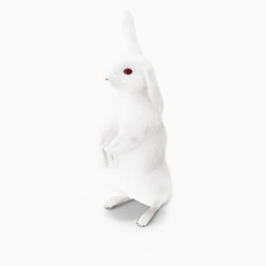 白兔子耷拉耳朵