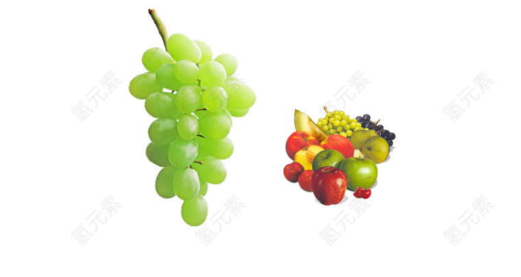 实物水果葡萄