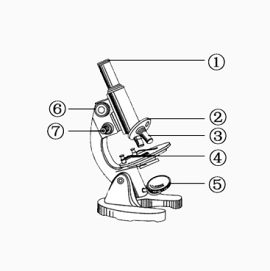 生物学显微镜