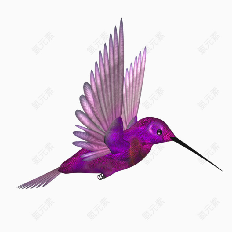 紫色展翅飞翔的尖嘴小鸟