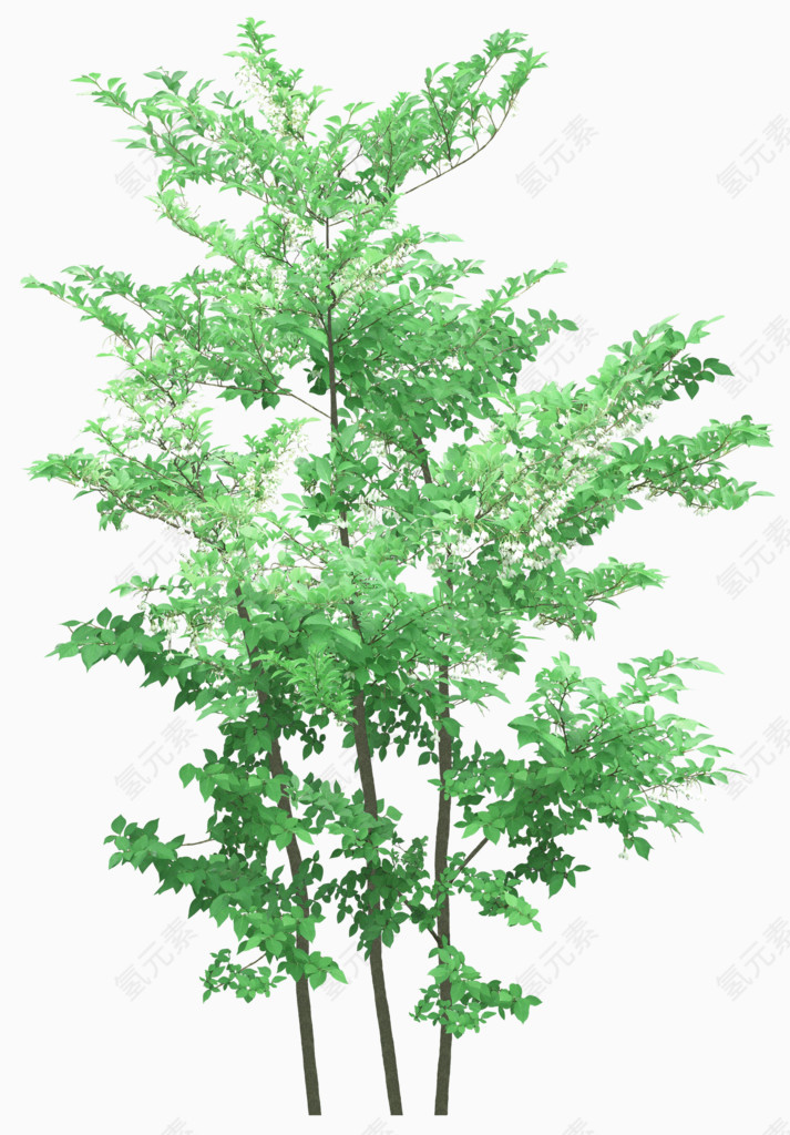 绿色树木树林装饰图案