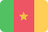 喀麦隆195平的标志PSD图标