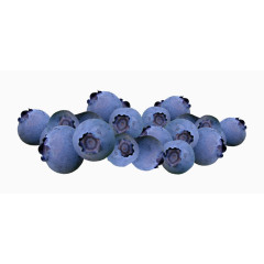 蓝莓装饰贴图