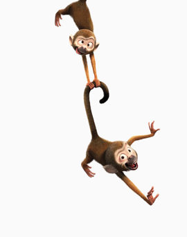 两只倒挂的猴子
