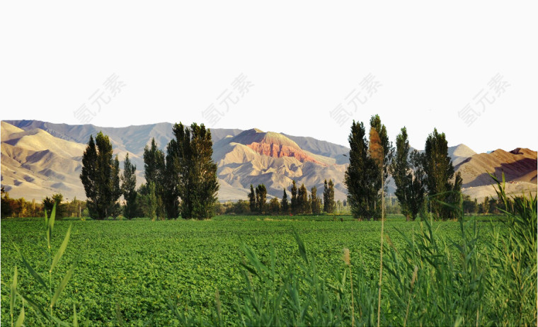 北疆乡村