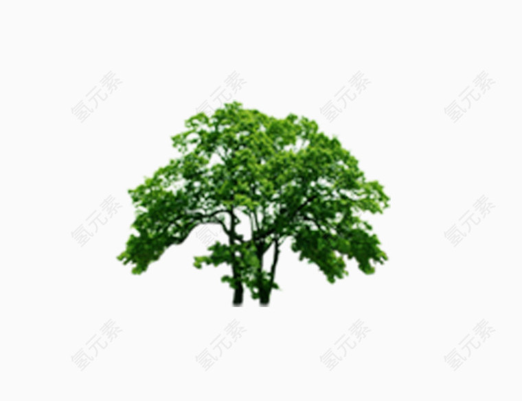 绿色树木免抠素材免费下载