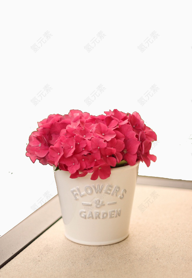 窗台上的红花盆栽