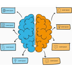 左右脑对比信息图表