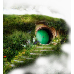 绿色树洞屋子