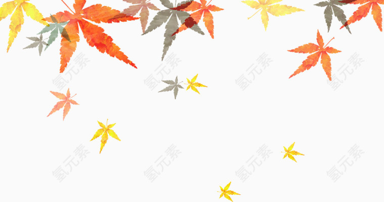 漂浮秋季树叶