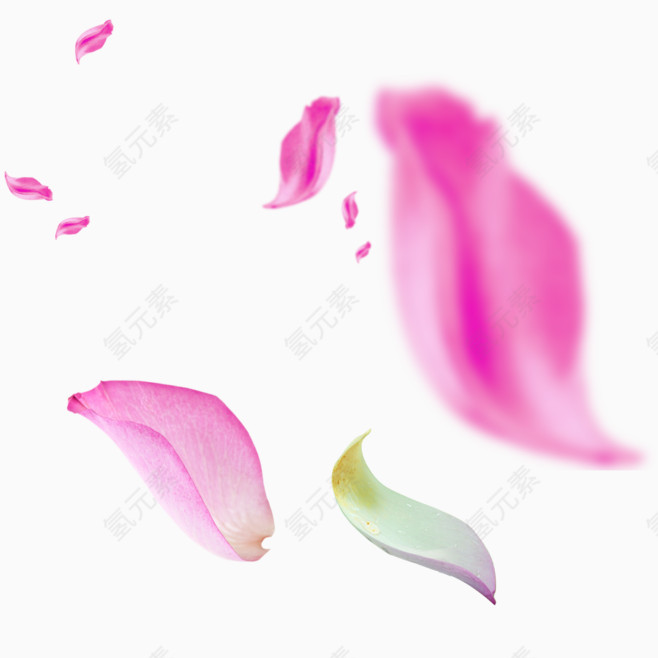 粉色清新花瓣漂浮元素