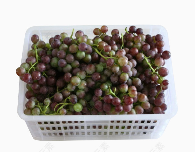 丰收葡萄