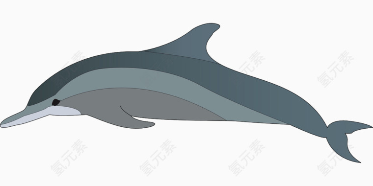 潜行的海豚