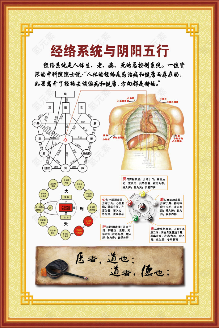 经络系统与阴阳五行