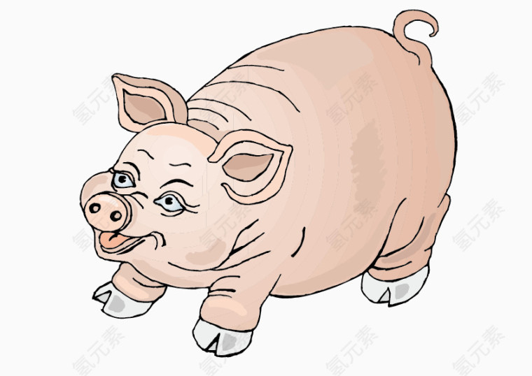 卡通手绘肥猪