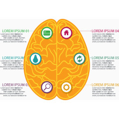 黄色大脑分类信息图表