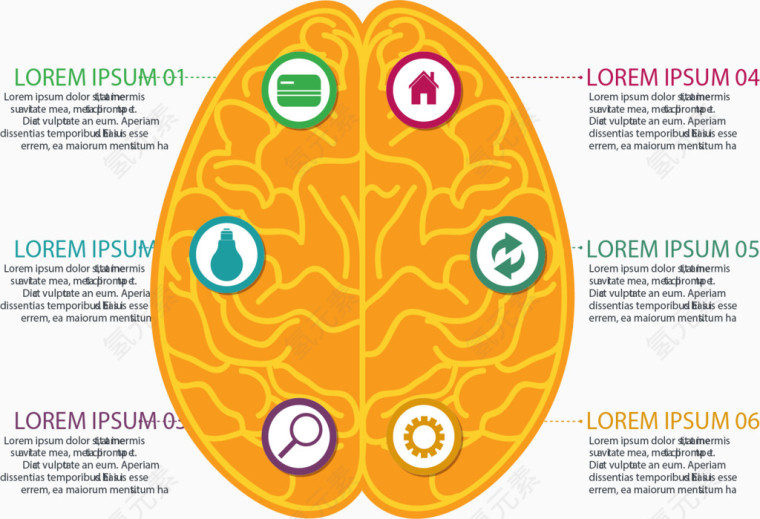 黄色大脑分类信息图表