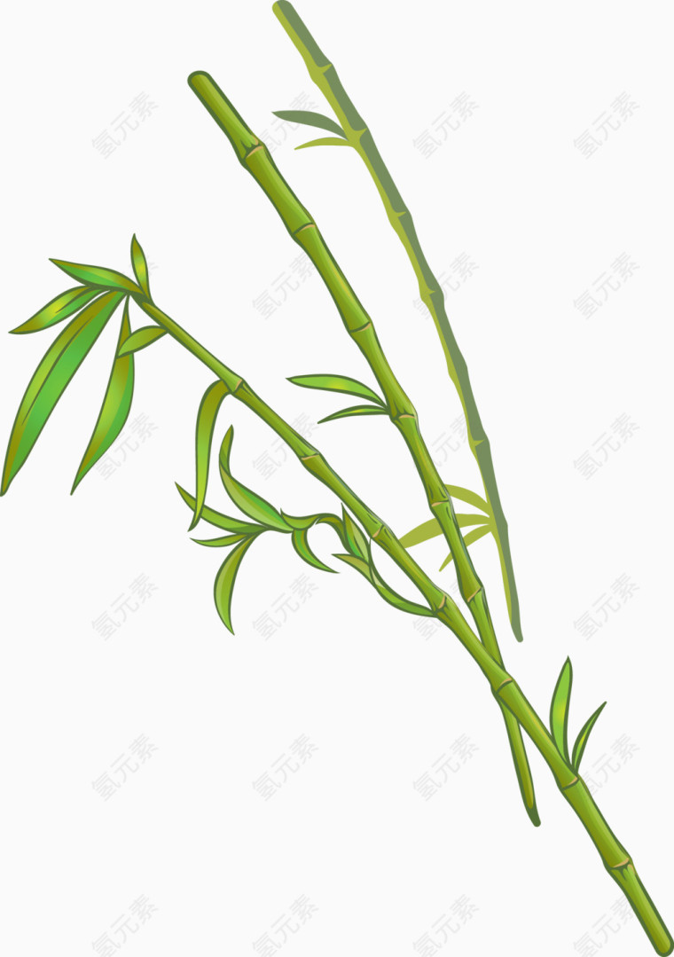 绿色竹子装饰矢量图