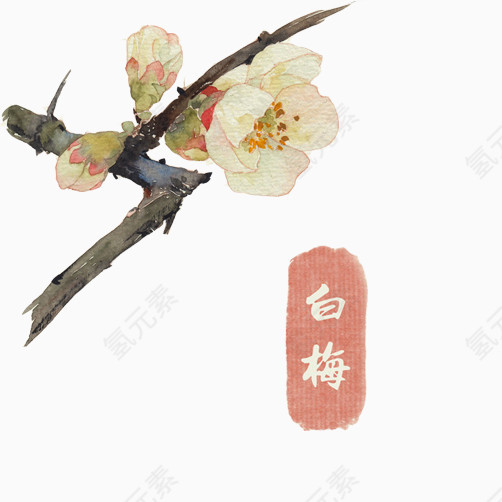 梅花图片免抠素材