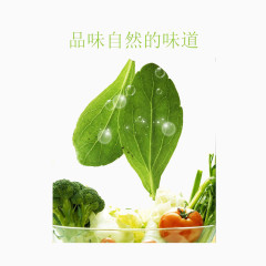 绿色无污染蔬菜