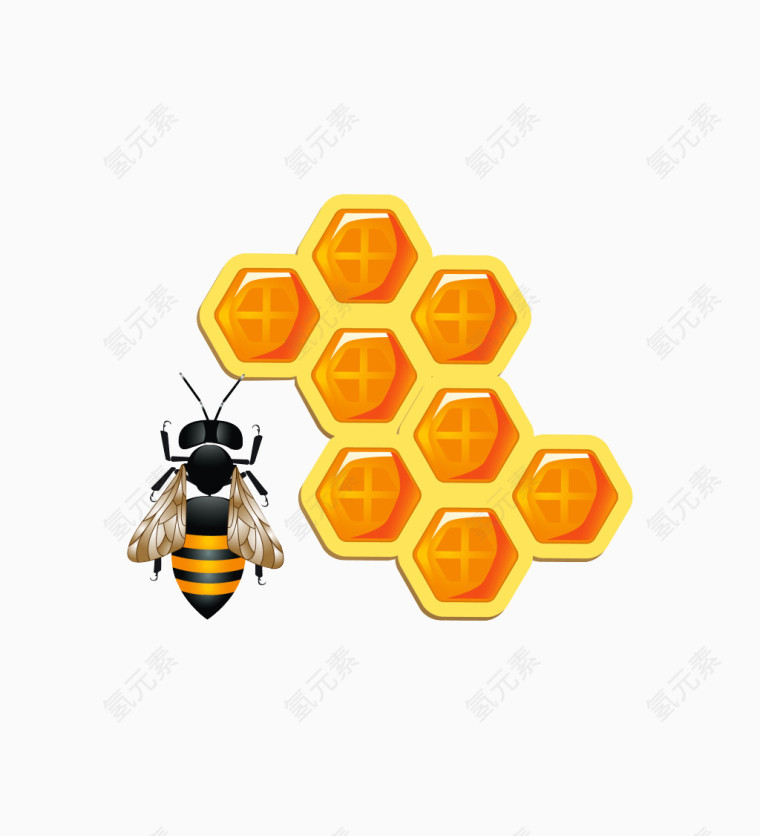 勤奋的蜜蜂