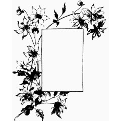 黑白植物花朵留白插图