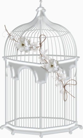 白色鸟笼和鲜花